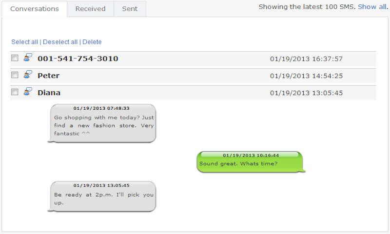 Way 5: Spy on someone's SMS without them knowing with NetSpy