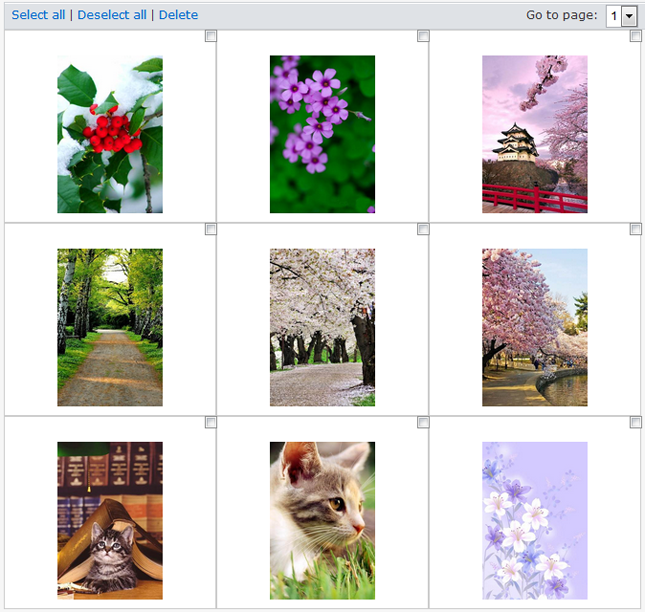 5 Different yet important Ways to Hack Someone's Phone Pictures