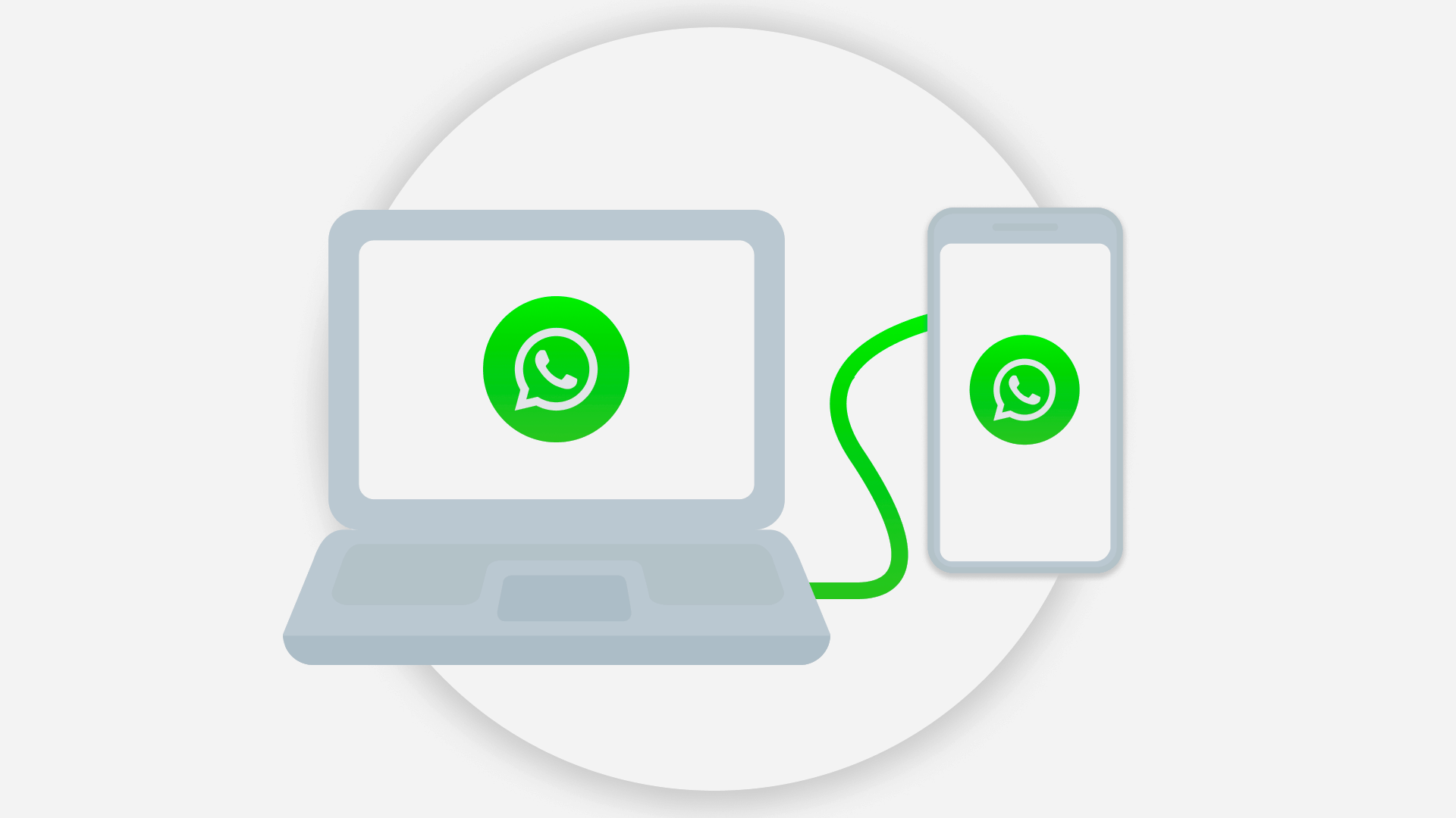 WhatsApp Web interface showing My Status and delete button