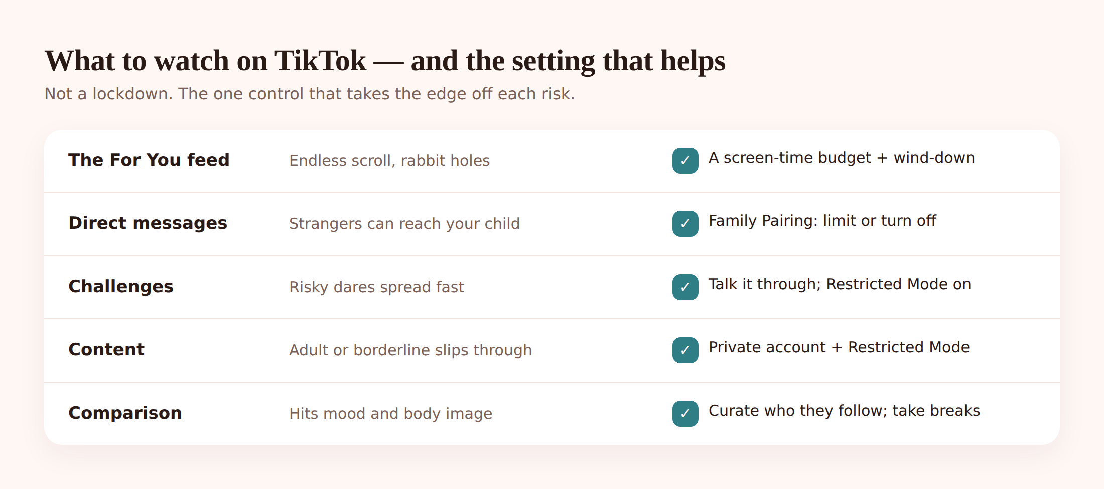 Illustration pairing each TikTok risk — algorithm, strangers, challenges, adult content — with the setting that reins it in